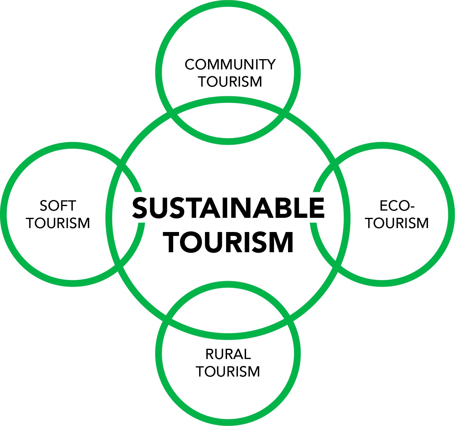 Is Sustainable Rural Tourism the Future of Travel? (Why More People Choose Eco-Friendly Countryside Trips)